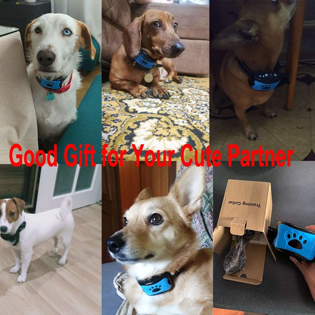 Ultrasound Anti-Bark Dog Training Collar