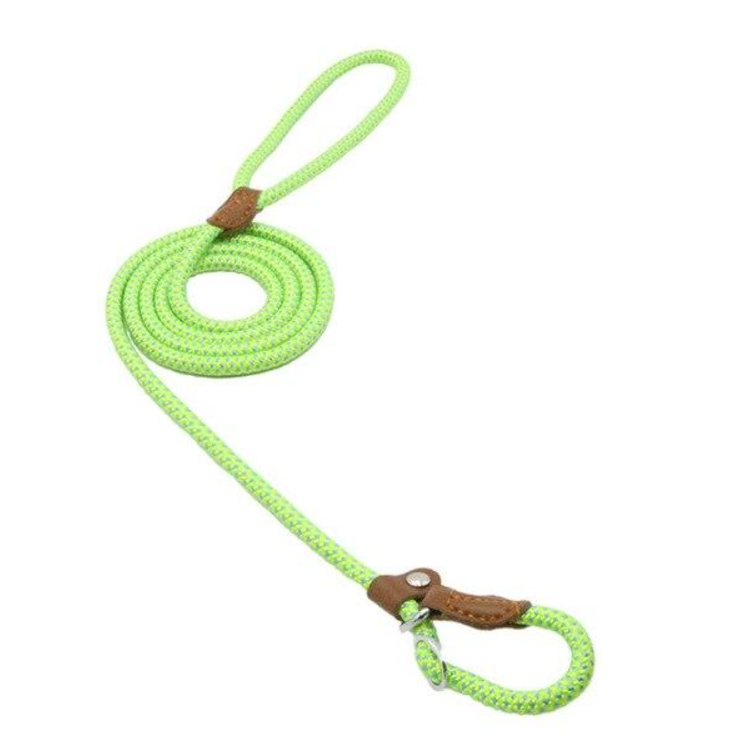 Nylon Dog Set