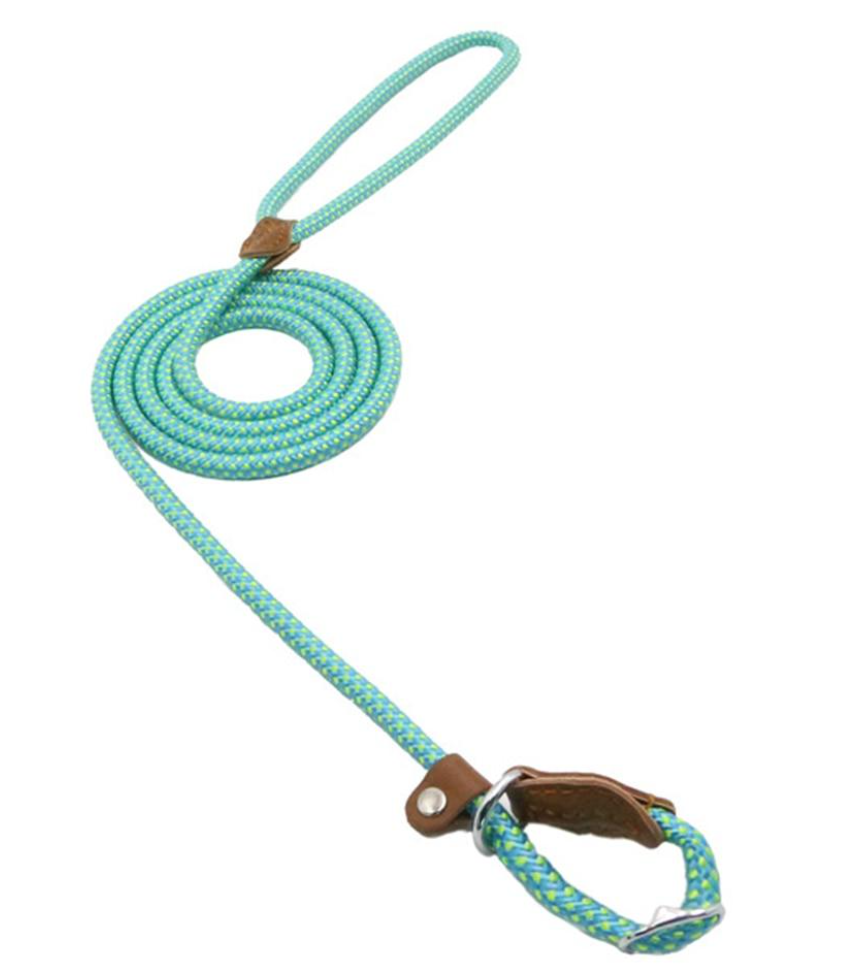 Nylon Dog Set