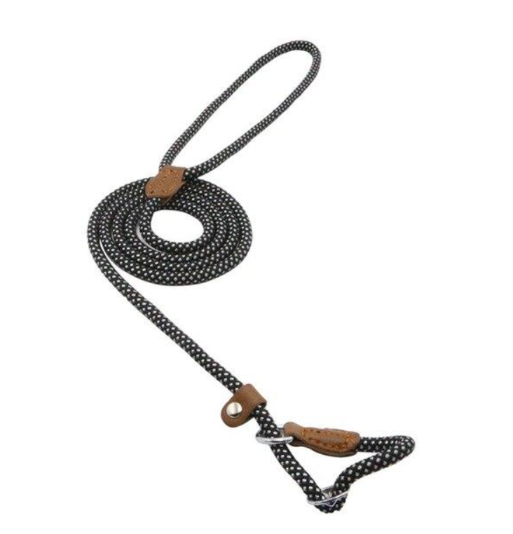 Nylon Dog Set
