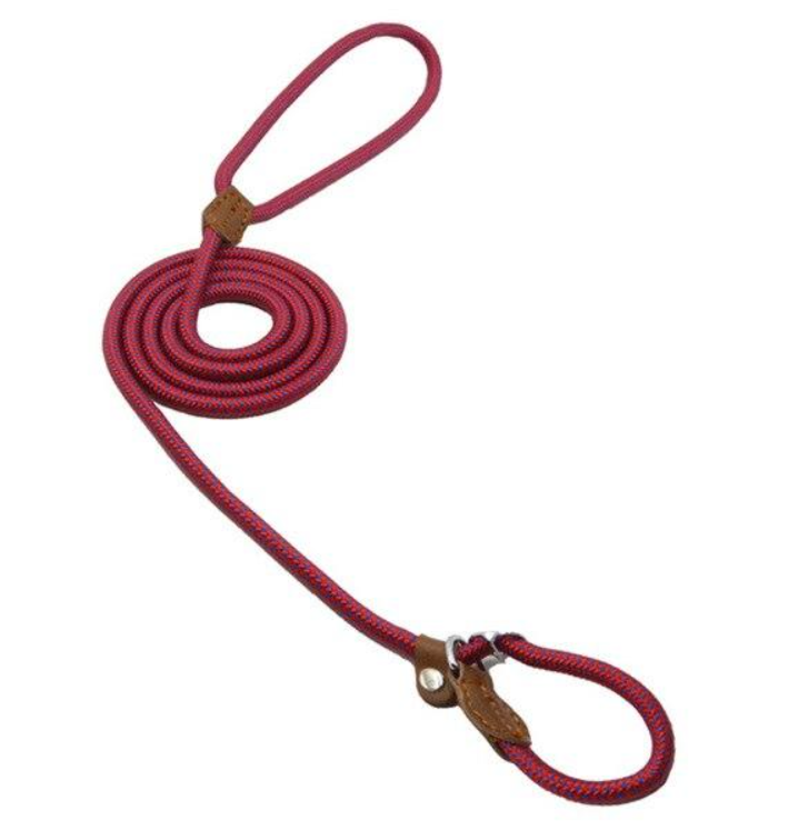 Nylon Dog Set