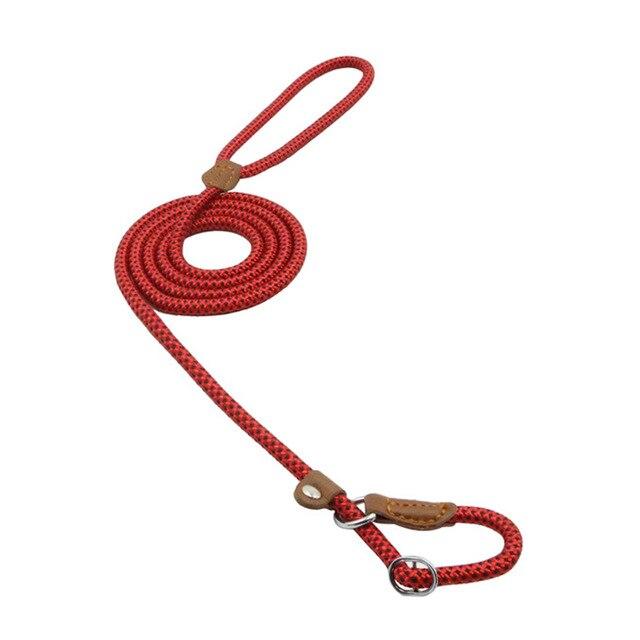 Nylon Dog Set