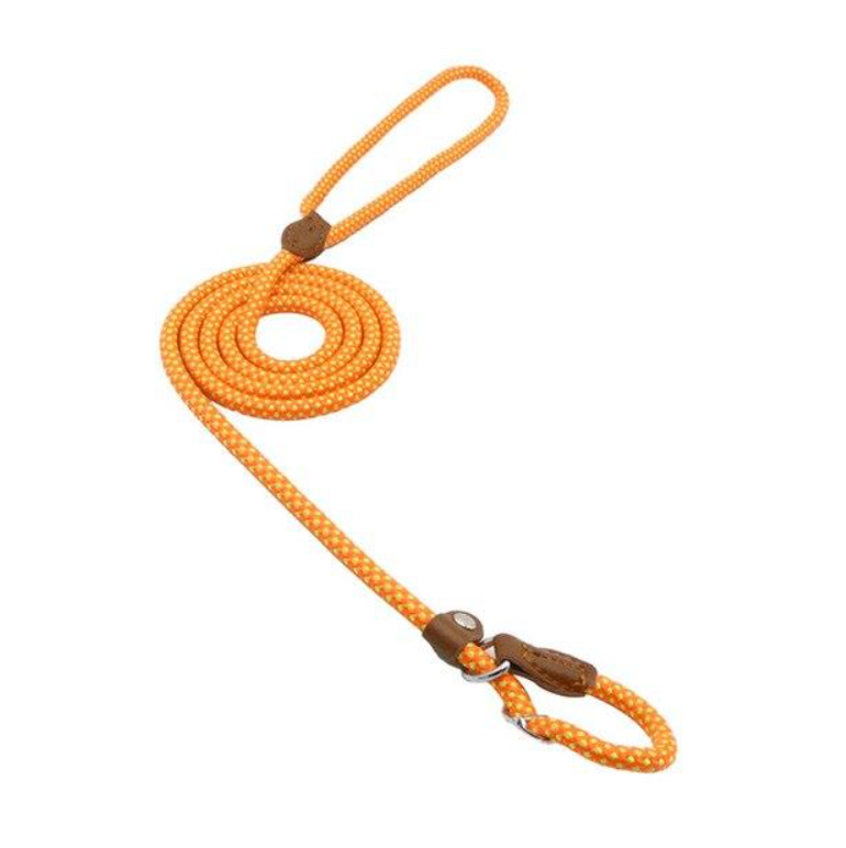 Nylon Dog Set